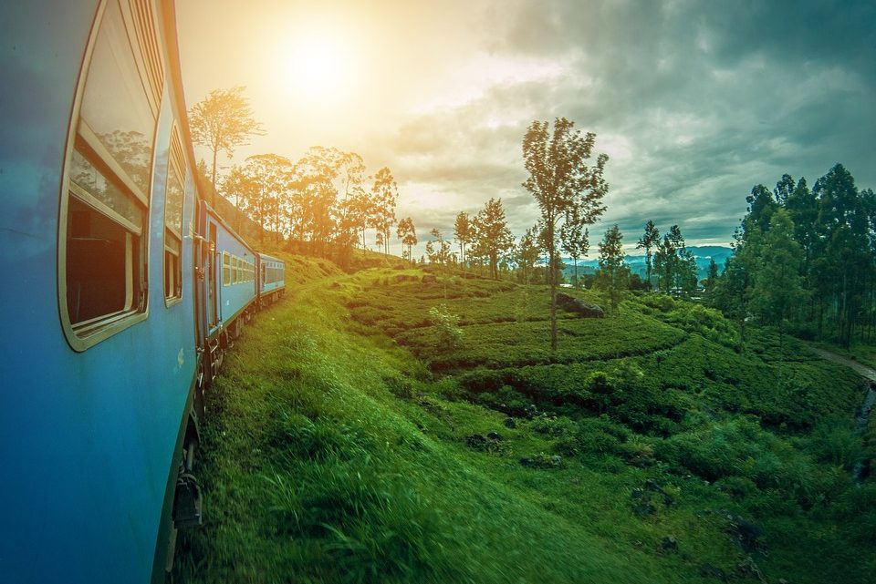 Top 3 des bonnes raisons de partir à deux au Sri Lanka