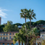 cannes suquet