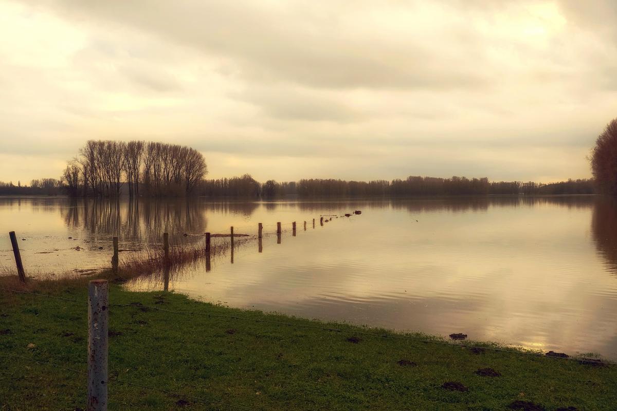 Vue d'un lac entouré de bois sous un ciel couvert, avec une clôture en bois au premier plan